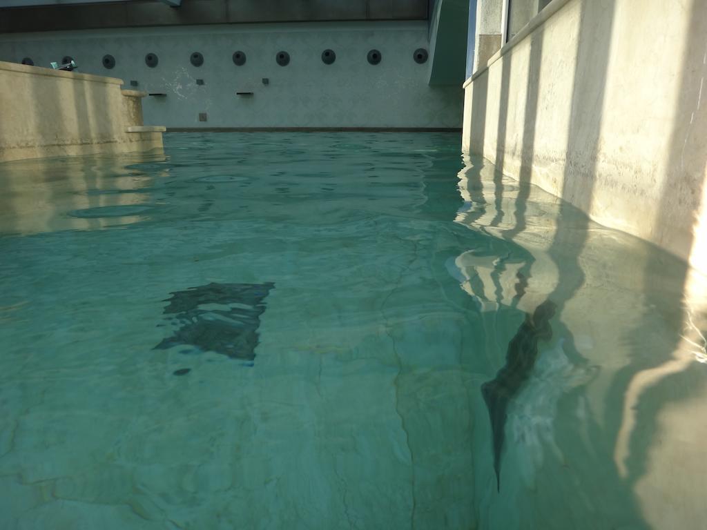 Hotel Terme Di Venturina Venturina Terme Zewnętrze zdjęcie